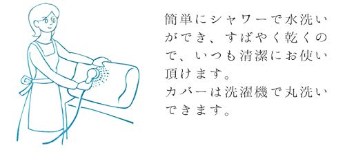 Amazon｜プリマレックスピロー ふわふわ夢枕 35×57×13cm