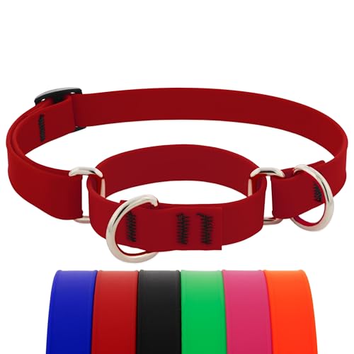 Collier imperméable BioThane rouge brique LupinePet premium - 2