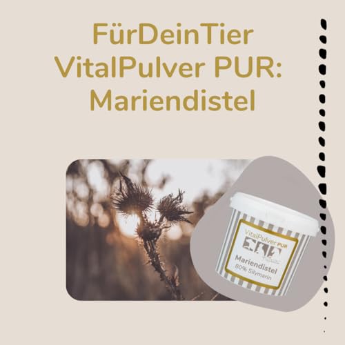 Für Dein Tier VitalPulver Pur | 100% Mariendistel als Pulver (1 x 200 g) | 80% Silymarin, hohe Reinheit und Qualität | speziell für Hunde, Katzen und Pferde | Unterstützt Leberfunktion und Entgiftung