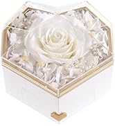 for Women Preserved Rose Gift for Her Mom Girlfriend Wife Real Rose Flower with I Love You Neckla...