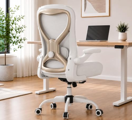 Image of Ergonomic Home Office Chair, 4-Way Lumbar, Thick Cushion, 330LBS