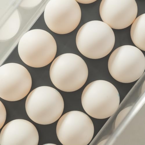 Organizador de Ovos Clear Fresh com 36 Un | Porta Ovos com Tampa e Alças Laterais | Geladeira, Cozin