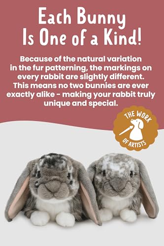 Living Nature Graues holländisches Lop Eared Hase Stofftier Plüschtier | Flauschiges Kaninchen Tier | Stofftier Geschenk für Kinder | Jungen und Mädchen Stoffpuppe | Naturli Umweltfreundliche Plushies