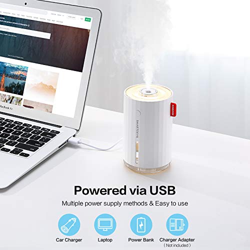 SmartDevil Mini Humidifier, 280ml Small Desk