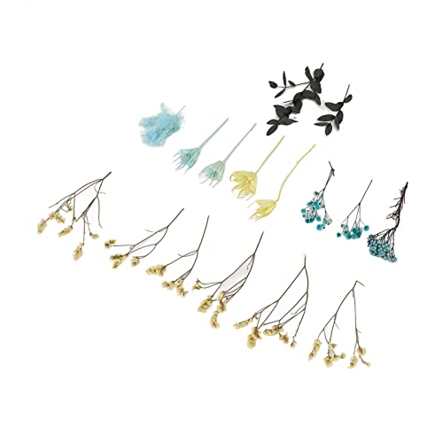 Flores secas, materiais naturais inodoros para fazer buquês, flores secas caseiras para decoração de