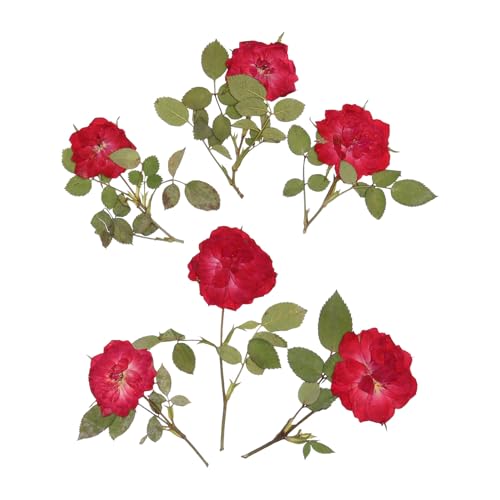 Set de flores secas para manualidades DIY FUOYLOO miniatura 1