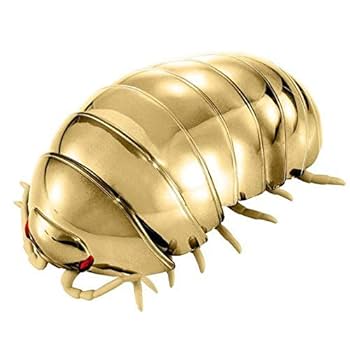 だんごむし イエローゼブラダンゴムシ 5匹セット | 昆虫ショップ BUG FOREST