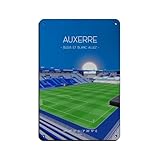 Poster für Stade de France Blechschild, Vintage, Metall, 