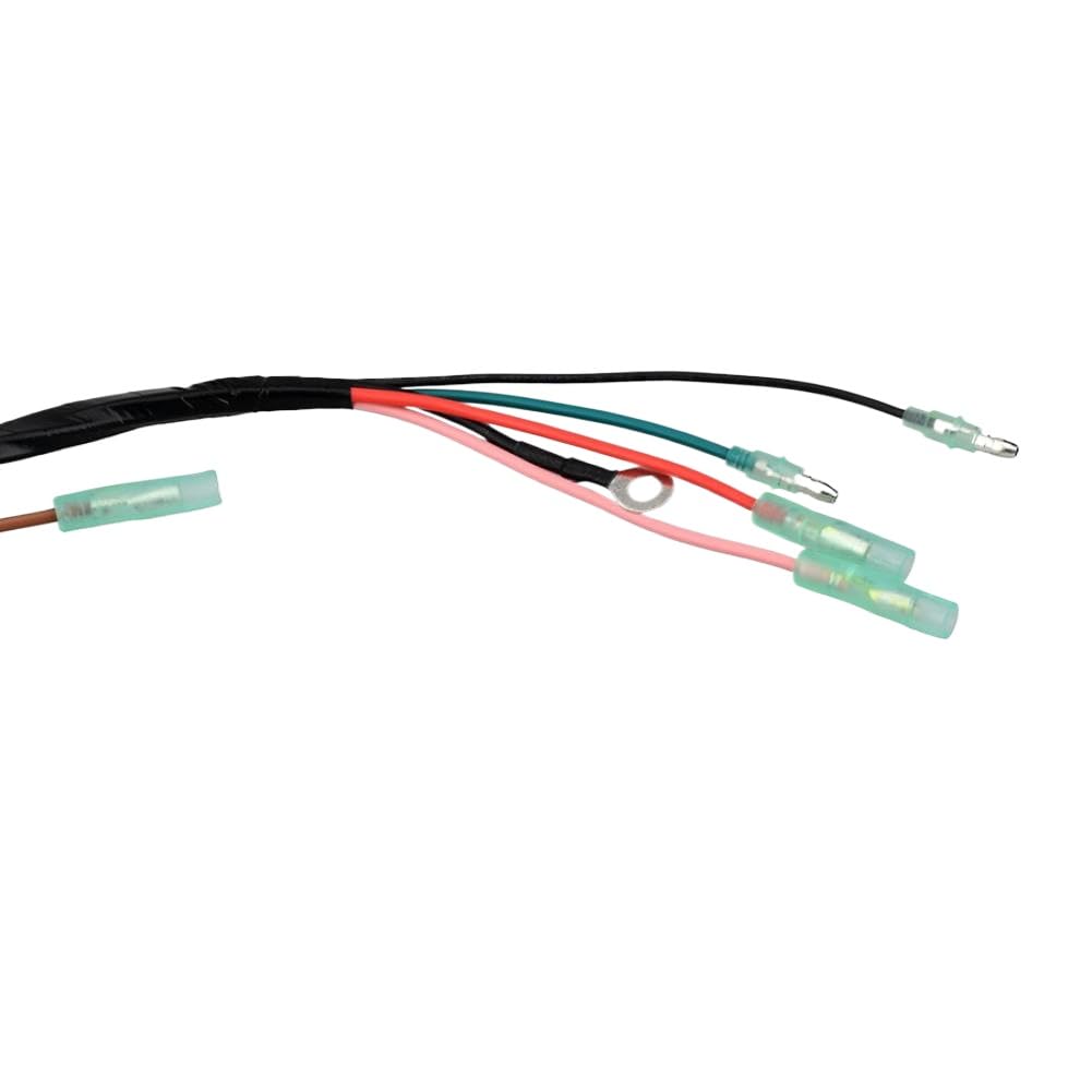 Gruppo Elettrico Cablato 10P Compatibile Con 2 Stroke 50HP 75HP