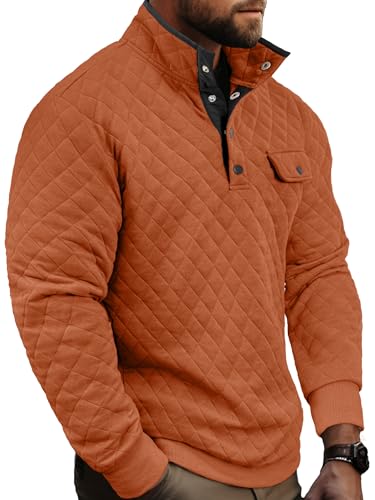 PLEPAN Mens Quilted Sweatshirt Long Sleeve Casual Stand Collar 1/4 Button Pullover Sweatshirts for Men