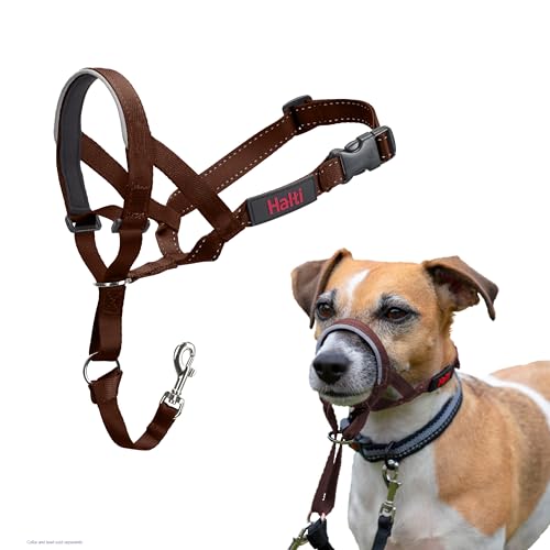 Image of Halti Headcollar for Dogs | Size 1, Deep Walnut | Stop Your Dog Pulling on the Leash | Adjustable, Reflective, Lightweight | Padded Nose Band | Training Collar for Small Dogs