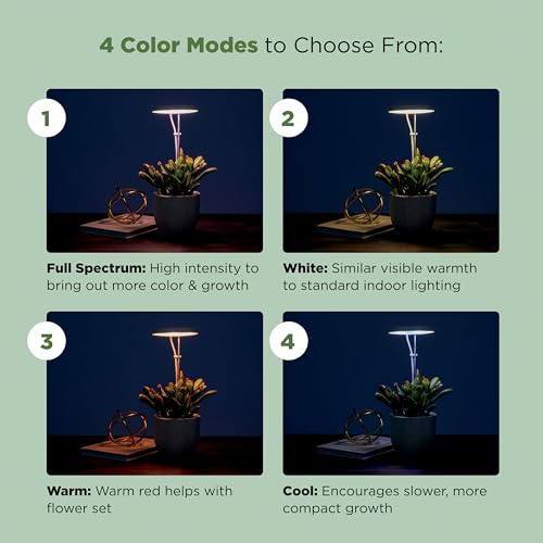 AeroGarden Stem Grow Light for Indoor Plants, Grow Live Plants Anywhere in The Home, Adjustable Light Modes, Cream - Image 9