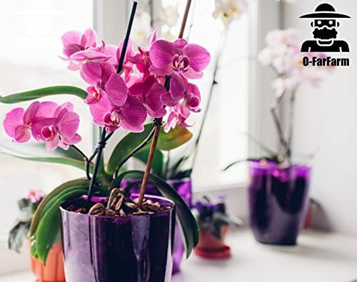 Orchid Potting Mix