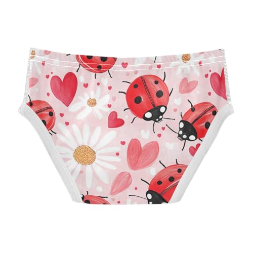Wusikd Ladybugs Boys' Underwear Cotton Black Dots Boys Briefs Soft Toddler Underwear 2T2