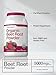 Horbäach Organic Beet Root Powder | 3lb Bulk Supplement | Raw Superfood | Vegan, Non-GMO, and Gluten Free Formula