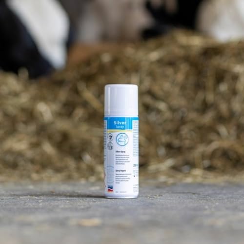 RL24 - Silberspray – Sprühpflaster für Tiere – Spray zum Schutz vor Schmutz & Umwelteinflüssen – filmbildendes & atmungsaktives Pflasterspray – Horn- & Hautpflege – 1 x 200 ml