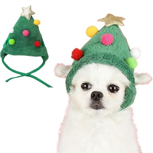 ybgpNX}XnbgAʂݖXq߉\ȃwbhhX킢XqALybgp[eB[ANZT[RX`[()