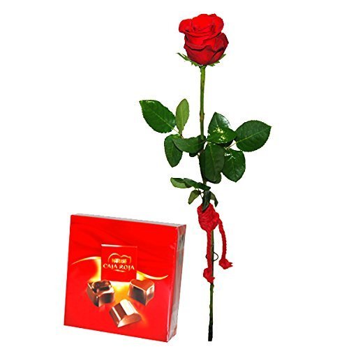 ROSA NATURAL PRESERVADA EN ESTUCHE CON CAJA ROJA NESTLE 200GR
