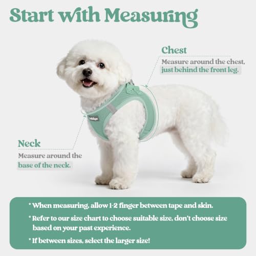 Image of rabbitgoo Dog Harness Small Sized and Leash Set, Step-in Puppy Pet Vest