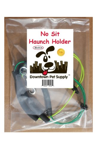 image for Downtown Pet Supply No Sit Pet Haunch Holder Dog Grooming Arm Restrain