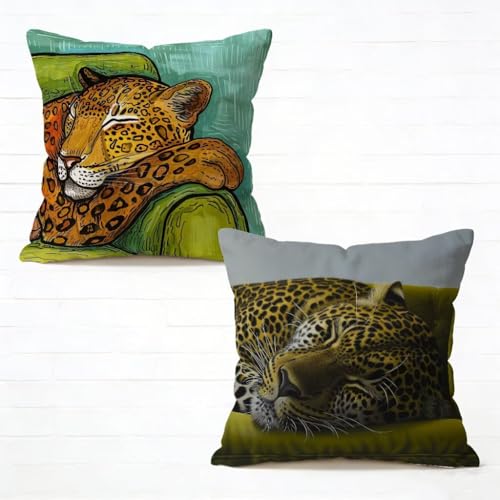 �N�b�V�����J�o�[ 50x50 cm 2���Z�b�g ���F ���z�c�J�o�[ 50 x 50 �\�t�@�[ �N�b�V���� ���� �l�C ���O �N�b�V���� �q���E �������J�o�[ HD���ʈ�� ���_�� �B���t�@�X�i�[�t���C�t�ăR���N�V���� �K�p�Ώ� �ƒ� �I�t�B�X �֎q �ԓ� 