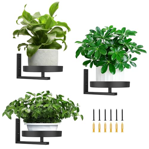 3 Pack Wall Planters for Indoor Plants Wall Mounted Plant Holder Metal wall plant holder Metal Wall Plant HolderSpace-Saving and Ideal for Decorating Bedrooms Living Rooms Kitchens Offices and Bathrooms