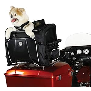 Nelson-Rigg-Route-1-Rover-Pet-Carrier-Weather-Resistant-Portable-and-Secure-Motorcycle-pet-CarrierCrate-Fits-Harley-Davidson-Indian-Yamaha-Suzuki-Motorcycles - Cucciolini Doodles Nelson-Rigg-Route-1-Rover-Pet-Carrier-Weather-Resistant-Portable-and-Secure-Motorcycle-pet-CarrierCrate-Fits-Harley-Davidson-Indian-Yamaha-Suzuki-Motorcycles
