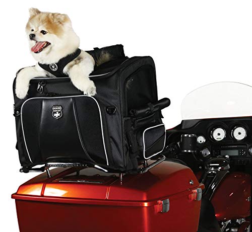 Nelson-Rigg-Route-1-Rover-Pet-Carrier-Weather-Resistant-Portable-and-Secure-Motorcycle-pet-CarrierCrate-Fits-Harley-Davidson-Indian-Yamaha-Suzuki-Motorcycles - Cucciolini Doodles Nelson-Rigg-Route-1-Rover-Pet-Carrier-Weather-Resistant-Portable-and-Secure-Motorcycle-pet-CarrierCrate-Fits-Harley-Davidson-Indian-Yamaha-Suzuki-Motorcycles