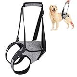Tokaneit Arnés de Elevación para Perros Gris XL Arnés de Elevación para Patas Traseras de Apoyo,Correa de Apoyo Suave,para Mascotas Y Rehabilitación Correas,para el Peso Corporal 26 a 40 KG