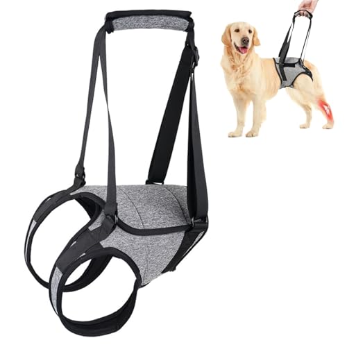 Tokaneit Harnais de Levage pour Chien Gri XL Harnais de Soutien Réglable pour Les Pattes Arrière,Aide à la Marche avec Soutien pour Les Jambes Arrière,pour un Poids Corporel de 26 à 40 KG