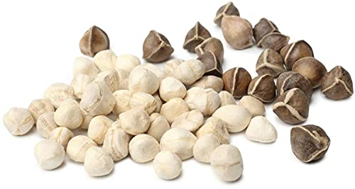 Moringa Seeds Kernel Shelled 5 Lbs. Bulk - Clean Pkm1 Variety - Edible - Moringa Oleifera - Malunggay - Semillas De Moringa - Drumstick Tree - Non-Gmo - 10,000 To 12,000 Seeds Approx. #TOP5