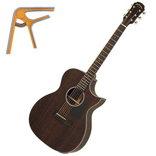 ARIA ナイロン弦エレアコ 専用カバー付き ARIA ナイロン弦エレアコ 専用カバー付き Ibanezからエレガット