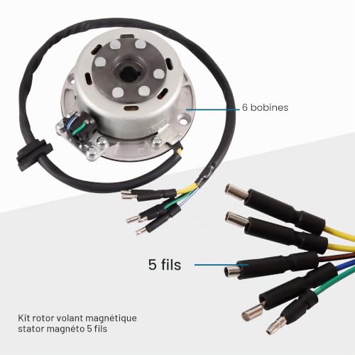 Rotor Volant Magneto Stator pour Sessions Enduro YX 160cc Pit Dirt Bike - 4