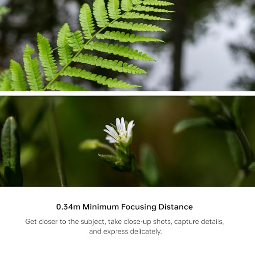 Image of Viltrox AF 40mm F2.5 Full Frame Lens for Sony E-Mount, STM Focus Motor Standard Lens, Compact Prime Lens for Sony Camera a7 a7II a7III a7IV a7R a7RII a7RIII a7RIV a7RV a7S a7SII a7SIII a1 ZV-E1