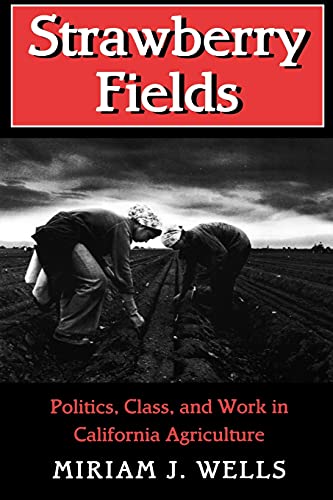 Strawberry Fields: Politics, Class, and Work in California Agriculture (The Anthropology of Contemporary Issues)