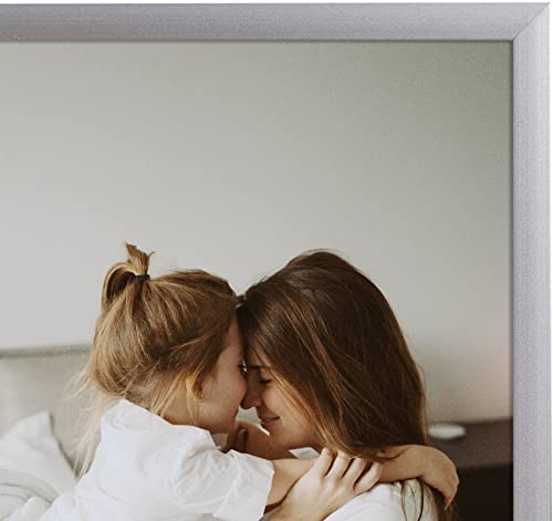 Frametory, 18X24 Aluminum Frame - Sawtooth Hanger, Swivel Tabs, Spring Clips - Portrait/Landscape Display Great For Photos, Artworks, Posters, Puzzle (Silver, 1 Pack) #TOP2