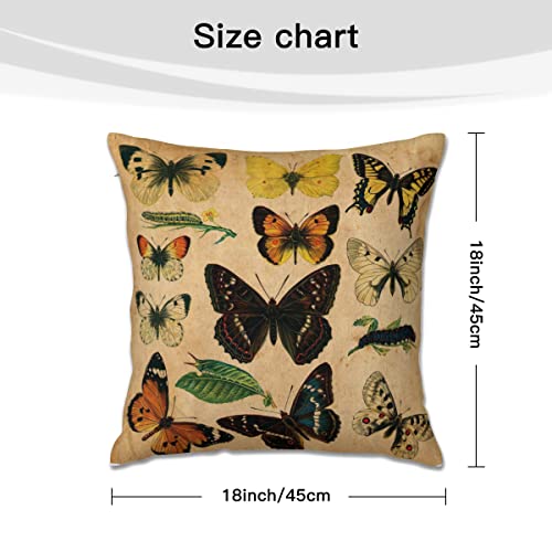 Mloerno Vintage Butterfly Collection Velvet Throw Pillow Covers Sofa Pillowcase Car Square Throw Pillowcases Home Decoration 18X18Inch #TOP5