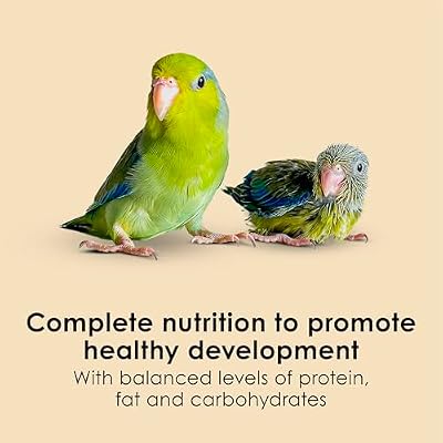 Kaytee Exact Hand Feeding Pet Bird Baby Food For Parrots, Parakeets, Lovebirds, Cockatiels, Conures, Cockatoos, and Macaws, 5 Pound