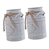 Photo Gallery qumiirity 2pezzi vaso in metallo zincato da fattoria vaso di per fiori in metallo fioriera in decorativa secchio per fiori francese per composizioni floreali da giardino e patio grigio Photo Gallery qumiirity 2pezzi vaso in metallo zincato da fattoria vaso di per fiori in metallo fioriera in decorativa secchio per fiori francese per composizioni floreali da giardino e patio grigio