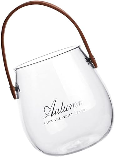 FOMIYES Jarrón de vidrio hidropónico de vidrio, terrario de vidrio, tarro de almacenamiento de alimentos, terrario, plantas, jarrón hidropónico,