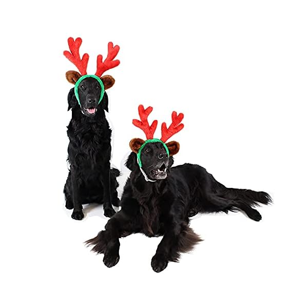 Midlee christmas reindeer antlers with ears for large dogs - image 3