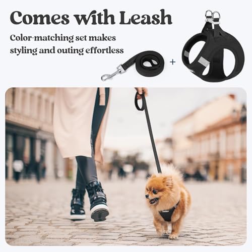 rabbitgoo Step-In Harness & Leash Set (Black, M) — view 6