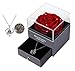 Produktbild Eaprala Ewige echte Rose mit I Love You Halskette 100 Sprachen Schmuck Geschenkbox Ewige echte Rose für Valentinstag Muttertag Hochzeit Jahrestag Geburtstag Geschenk für sie (Kristall Rot)