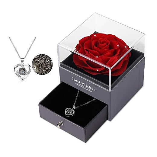 Eaprala Ewige echte Rose mit I Love You Halskette 100 Sprachen Schmuck Geschenkbox Ewige echte Rose für Valentinstag Muttertag Hochzeit Jahrestag Geburtstag Geschenk für sie (Kristall Rot)