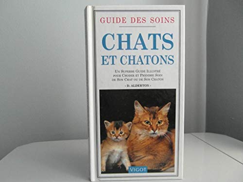 Chats et chatons