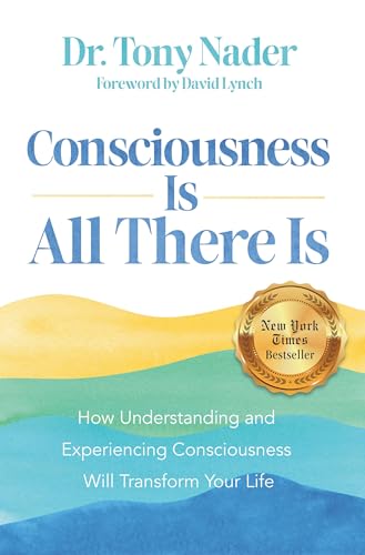 Consciousness Is All There Is: How Understanding and Experiencing Consciousness
