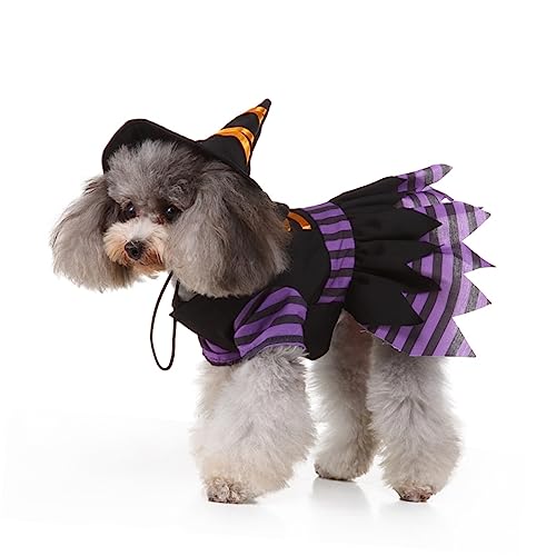 Disfraz de Bruja para Perros Halloween Abaodam M