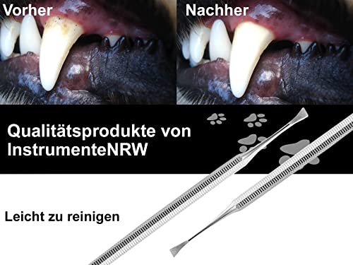 Hunde Zahnstein Zahnbelag Entferner Kratzer Reiniger Schaber Flügel 2-Seitig Zahnsteinentferner Zahnreiniger für Haustiere aus Edelstahl Zahnpflege Zahnsteinkratzer