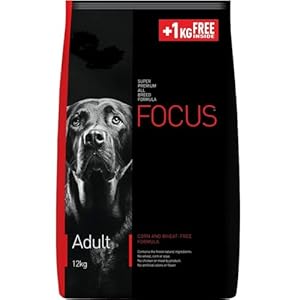 Dog Food Focus Adult Super Premium Dog Food, 12 kg (+1kg Extra Free Inside), Total 13 Kg