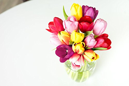 From You Flowers Rainbow Tulip Bouquet - 15 Stems With Glass Vase (Fresh Flower Bouquets) Birthday thumb #4